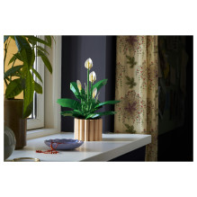 LEGO Botanicals Peace Lily 11504 LEGO Botanicals Peace Lily 11504