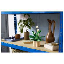 LEGO Botanicals Taikos lelija 11504 LEGO Botanicals Taikos lelija 11504