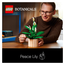 LEGO Botanicals Taikos lelija 11504 LEGO Botanicals Taikos lelija 11504