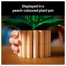 LEGO Botanicals Peace Lily 11504 LEGO Botanicals Peace Lily 11504