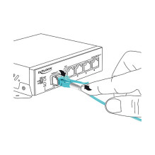 DeLOCK 1m, 2xLC InfiniBand / fibre optic cable DeLOCK 1m, 2xLC InfiniBand / fibre optic cable