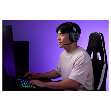 Turtle Beach Stealth 700 Turtle Beach Stealth 700