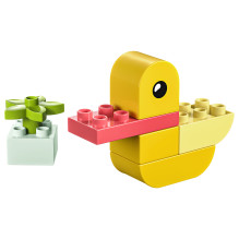 LEGO DUPLO Mano pirmoji antis LEGO DUPLO Mano pirmoji antis