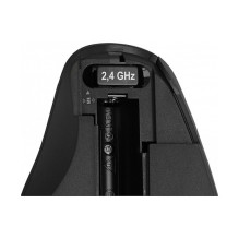 DeLOCK 12598 mouse DeLOCK 12598 mouse