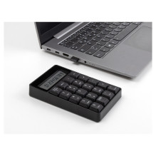 DeLOCK 12113 numeric keypad
