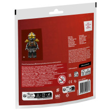 LEGO NINJAGO 30723 building toy LEGO NINJAGO 30723 building toy