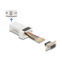 DeLOCK 67105 sąsajos plokštės / adapteris