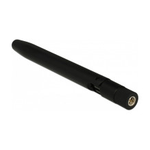 DeLOCK LoRa tinklo antena
