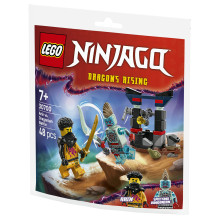 LEGO NINJAGO Arin vs. Dragonian Battle LEGO NINJAGO Arin vs. Dragonian Battle