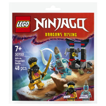 LEGO NINJAGO Arin vs. Dragonian Battle LEGO NINJAGO Arin vs. Dragonian Battle