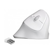 DeLOCK 12596 mouse