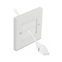 DeLOCK 66495 wall plate / switch cover