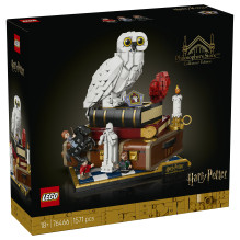 LEGO Harry Potter Išminties akmuo – kolekcinis leidimas 76466