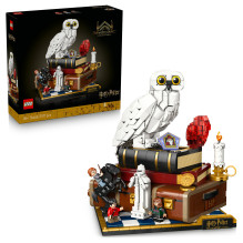 LEGO Harry Potter Išminties akmuo – kolekcinis leidimas 76466