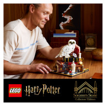 LEGO Harry Potter Išminties akmuo – kolekcinis leidimas 76466