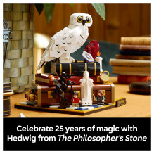 LEGO Harry Potter Sorcerer's Stone - Collectors' Edition 76466 LEGO Harry Potter Sorcerer's Stone - Collectors' Edition 76466
