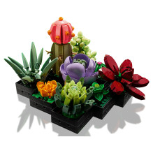 LEGO Botanicals sukulentai