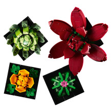 LEGO Botanicals Succulents LEGO Botanicals Succulents