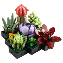 LEGO Botanicals sukulentai