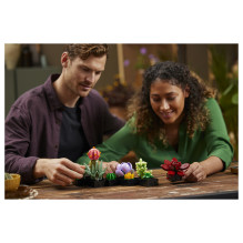 LEGO Botanicals sukulentai