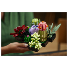 LEGO Botanicals sukulentai