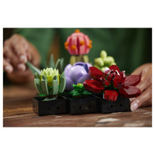LEGO Botanicals sukulentai