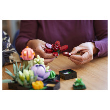 LEGO Botanicals Succulents LEGO Botanicals Succulents