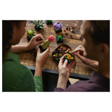 LEGO Botanicals sukulentai