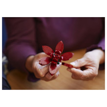 LEGO Botanicals sukulentai