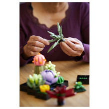 LEGO Botanicals sukulentai