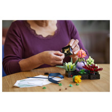 LEGO Botanicals sukulentai