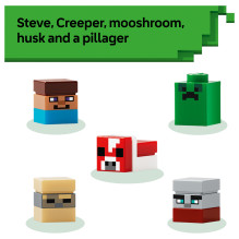 LEGO Minecraft Mini Biomai 21589