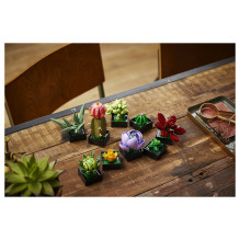LEGO Botanicals Succulents LEGO Botanicals Succulents