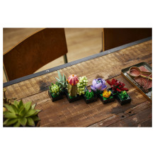LEGO Botanicals sukulentai
