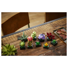 LEGO Botanicals sukulentai