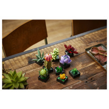 LEGO Botanicals sukulentai