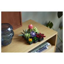 LEGO Botanicals Succulents LEGO Botanicals Succulents
