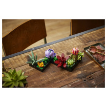 LEGO Botanicals Succulents LEGO Botanicals Succulents