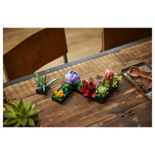LEGO Botanicals Succulents LEGO Botanicals Succulents