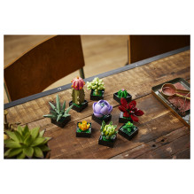 LEGO Botanicals sukulentai
