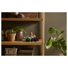 LEGO Botanicals Succulents LEGO Botanicals Succulents
