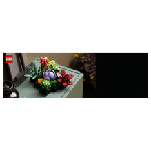 LEGO Botanicals sukulentai