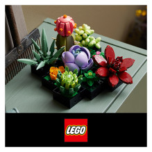 LEGO Botanicals sukulentai