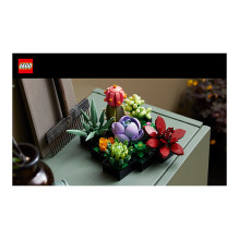 LEGO Botanicals sukulentai