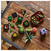 LEGO Botanicals sukulentai