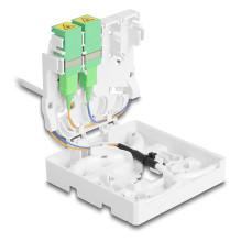 DeLOCK 85933 InfiniBand / fibre optic cable DeLOCK 85933 InfiniBand / fibre optic cable