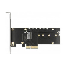 DeLOCK 89013 sąsajos plokštės / adapteris DeLOCK 89013 sąsajos plokštės / adapteris