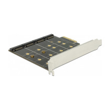 DeLOCK 89888 sąsajos plokštės / adapteris