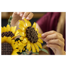 LEGO Botanicals 11502 konstravimo žaislas