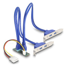 DeLOCK 61066 interface...
